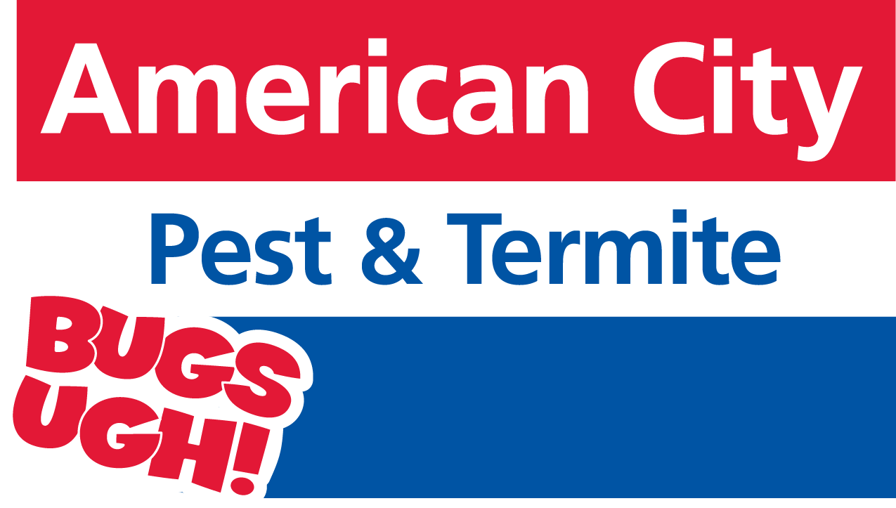 /wp-content/uploads/sites/3/2026/06/american-city-logo.png