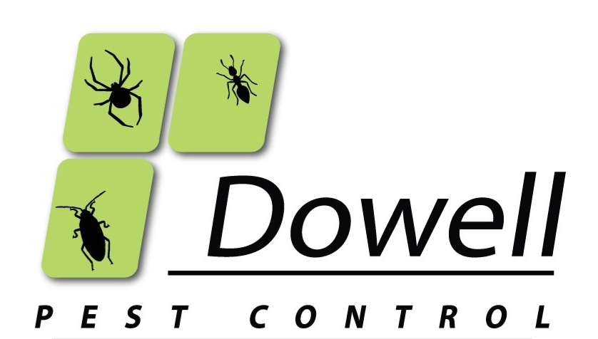 /wp-content/uploads/sites/3/2026/07/newest-logo.png